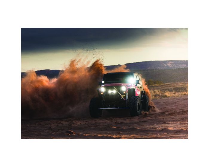 RIGID Industries Specter/Diffused Light Pair D-XL Pro