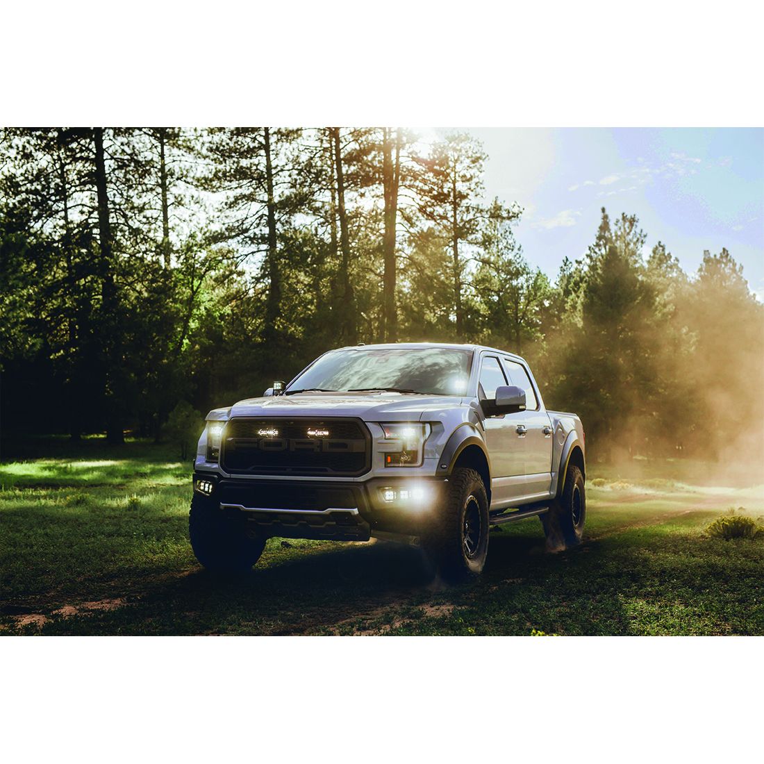 RIGID Industries Diffused Surface Mount Pair D-Series Pro