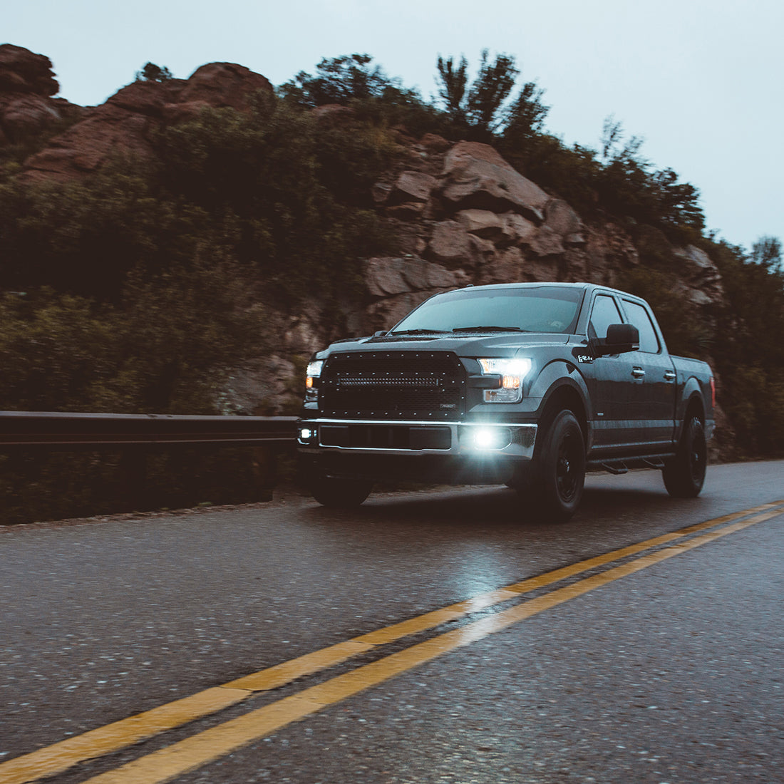 RIGID Industries SAE Fog Light White Pair D-Series Pro