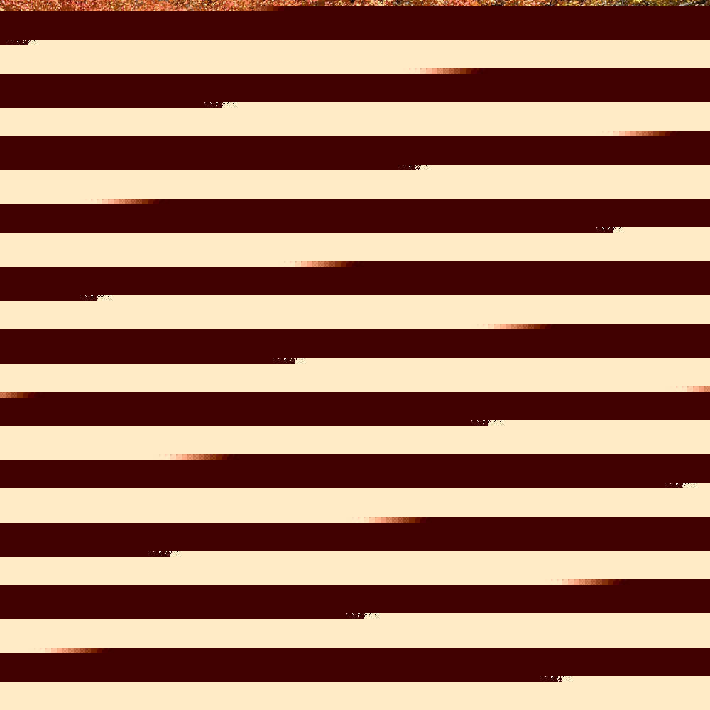 Rock Slide Engineering Tacoma Short Bed Overland Deluxe Rack Kit For 15-22 Toyota Tacoma